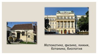 Математика, физика, химия,
ботаника, биология
 