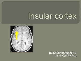 Insular cortex By ShuangShuangHu and Kyu Hwang 