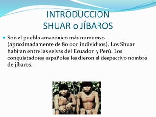INTRODUCCION
SHUAR o JÍBAROS
 Son el pueblo amazonico más numeroso
(aproximadamente de 80 000 individuos). Los Shuar
habitan entre las selvas del Ecuador y Perú. Los
conquistadores españoles les dieron el despectivo nombre
de jíbaros.
 