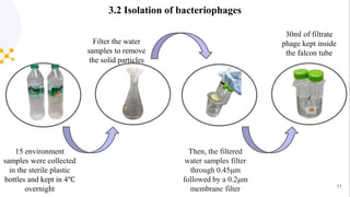 Isolation and Evaluation of bacteriophages against Salmonella Typhi | PPTX