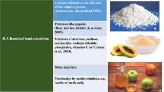 Application of shock wave and hydrostatic pressure for meat ...