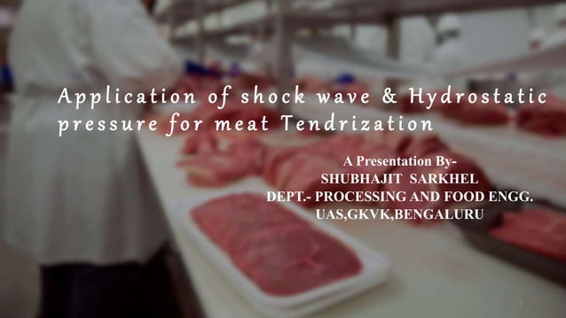 Application of shock wave and hydrostatic pressure for meat ...