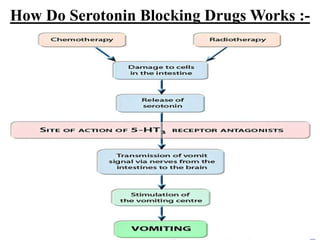 How Do Serotonin Blocking Drugs Works :-
 