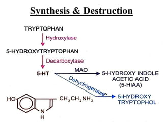 Synthesis & Destruction
 
