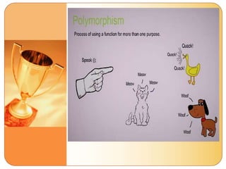 Object Oriented Programming Concepts | PPT