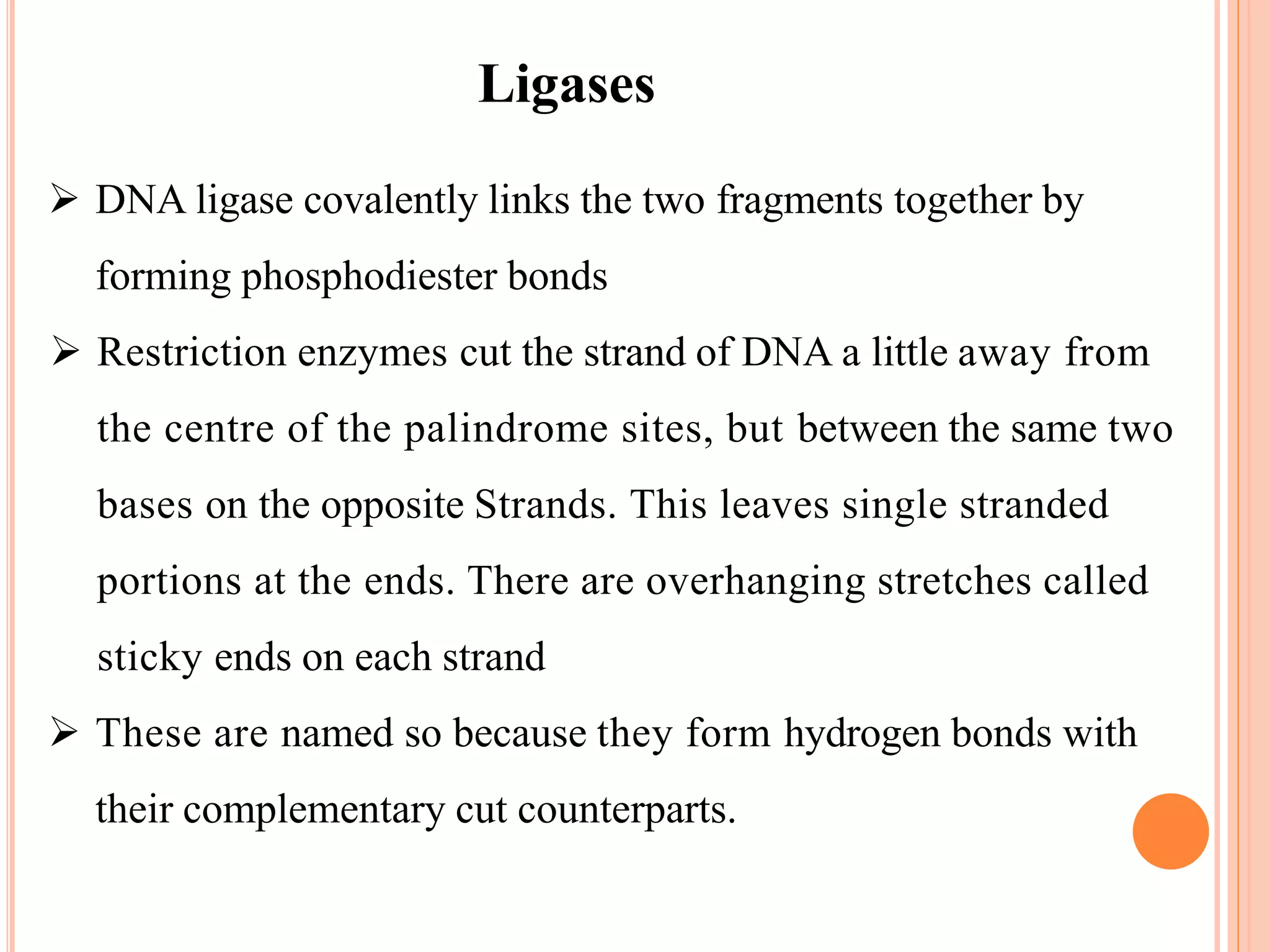  DNA ligase covalently links the two fragments together by
forming phosphodiester bonds
 Restriction enzymes cut the strand of DNA a little away from
the centre of the palindrome sites, but between the same two
bases on the opposite Strands. This leaves single stranded
portions at the ends. There are overhanging stretches called
sticky ends on each strand
 These are named so because they form hydrogen bonds with
their complementary cut counterparts.
Ligases
 