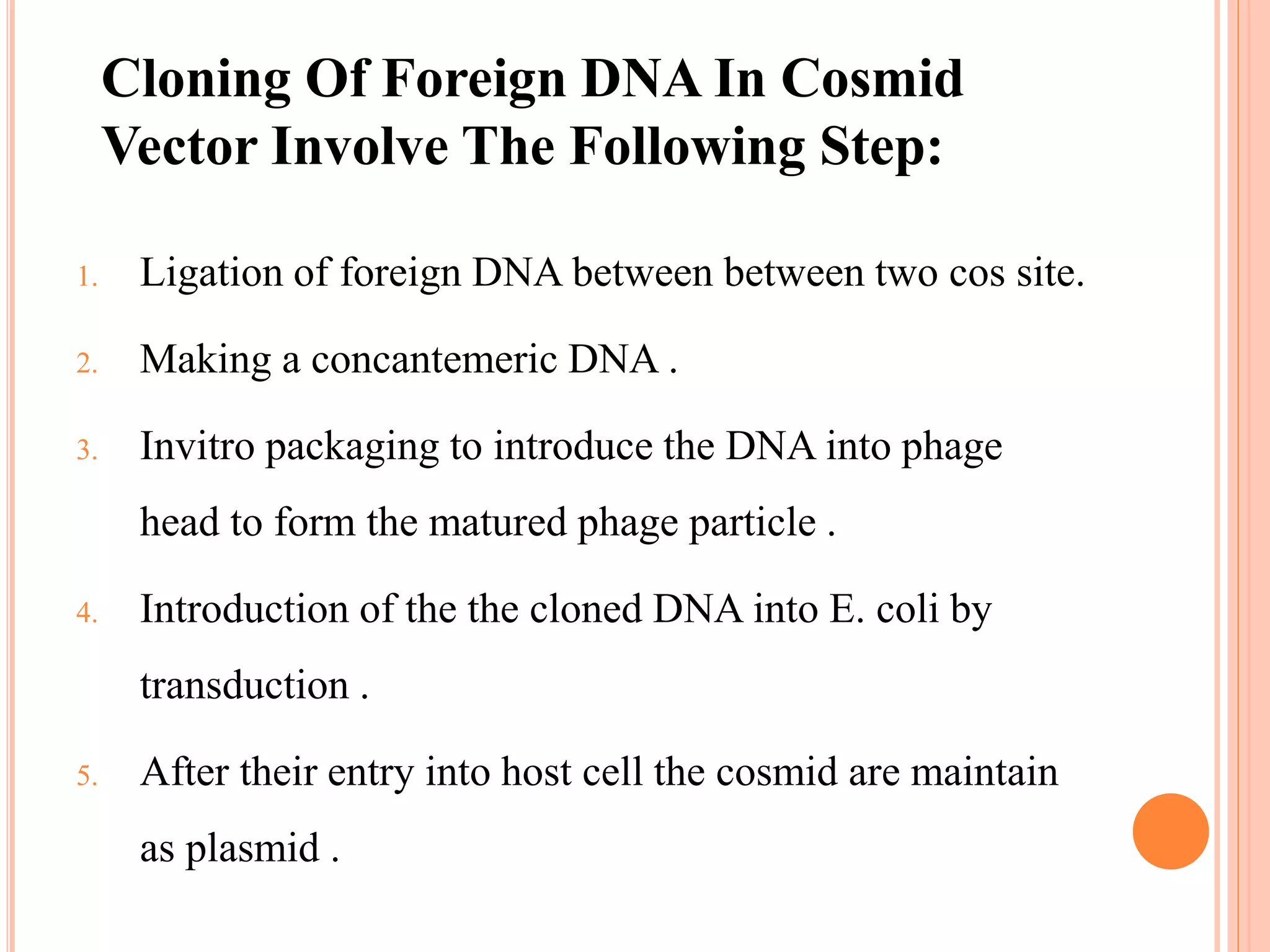 1. Ligation of foreign DNA between between two cos site.
2. Making a concantemeric DNA .
3. Invitro packaging to introduce the DNA into phage
head to form the matured phage particle .
4. Introduction of the the cloned DNA into E. coli by
transduction .
5. After their entry into host cell the cosmid are maintain
as plasmid .
Cloning Of Foreign DNA In Cosmid
Vector Involve The Following Step:
 