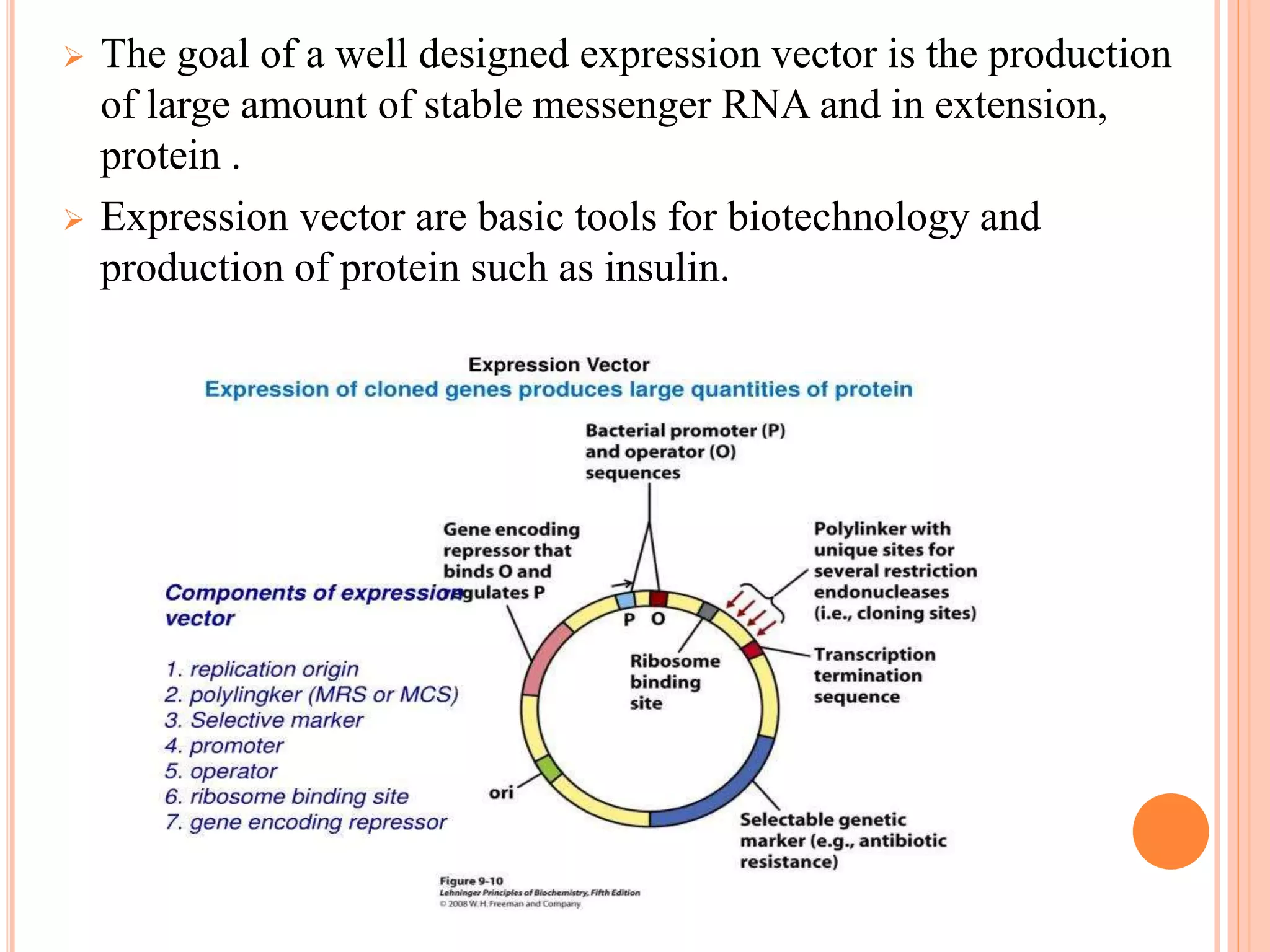  The goal of a well designed expression vector is the production
of large amount of stable messenger RNA and in extension,
protein .
 Expression vector are basic tools for biotechnology and
production of protein such as insulin.
 