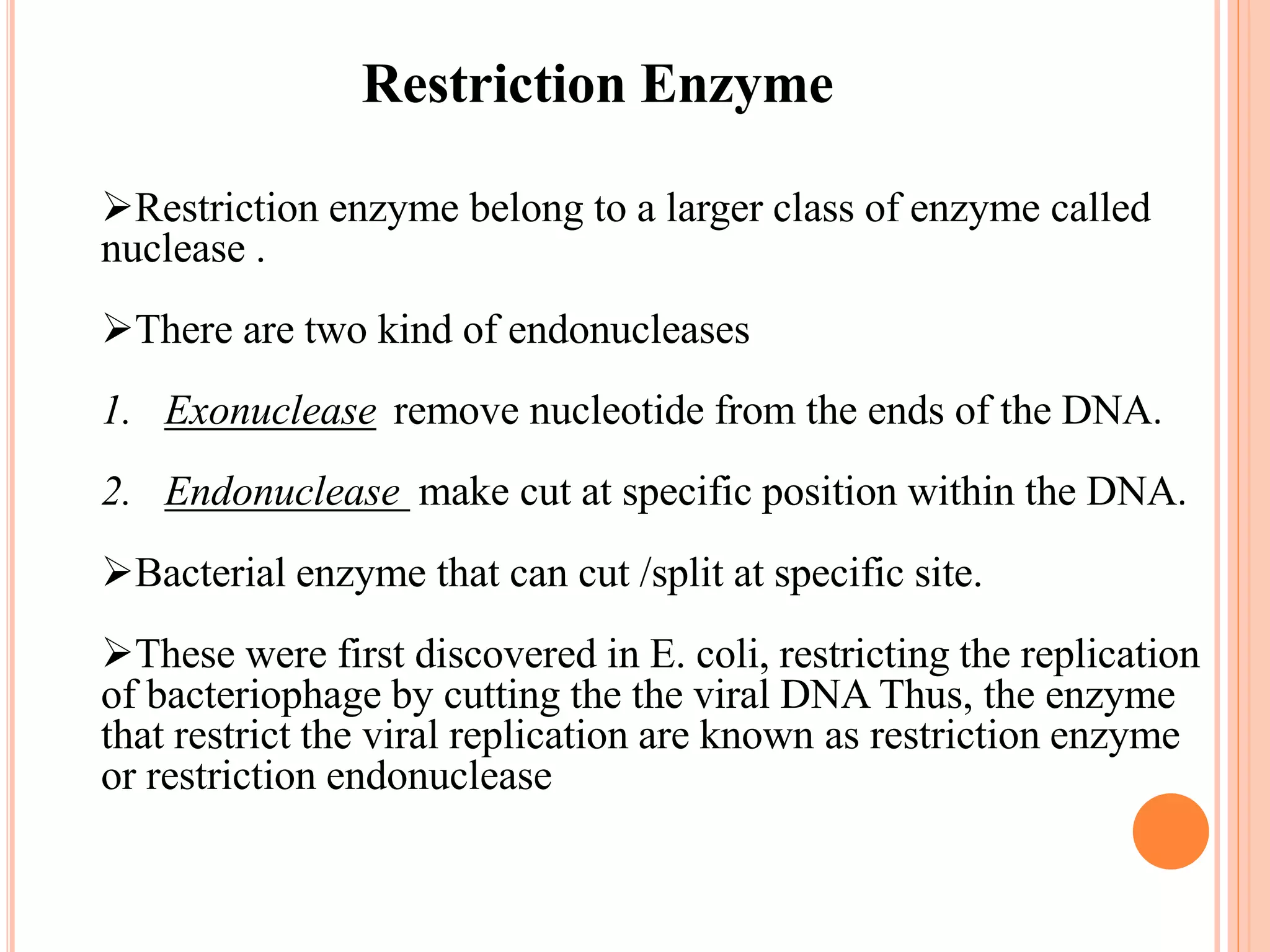 Restriction enzyme belong to a larger class of enzyme called
nuclease .
There are two kind of endonucleases
1. Exonuclease remove nucleotide from the ends of the DNA.
2. Endonuclease make cut at specific position within the DNA.
Bacterial enzyme that can cut /split at specific site.
These were first discovered in E. coli, restricting the replication
of bacteriophage by cutting the the viral DNA Thus, the enzyme
that restrict the viral replication are known as restriction enzyme
or restriction endonuclease
Restriction Enzyme
 