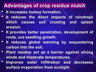  It increases humus formation.
 It reduces the direct impacts of raindrops
which causes soil crusting and splash
erosion.
 It provides better penetration, development of
roots, and seedling growth.
 It reduces global warming by sequestering
carbon into the soil.
 Plant residue act as a barrier against strong
winds and moderate temperatures.
 Improves water infiltration and decreases
surface evaporation from sunlight.
Advantages of crop residue mulch
 