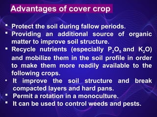 Advantages of cover crop
 Protect the soil during fallow periods.
 Providing an additional source of organic
matter to improve soil structure.
 Recycle nutrients (especially P2О5 and K2О)
and mobilize them in the soil profile in order
to make them more readily available to the
following crops.
• It improve the soil structure and break
compacted layers and hard pans.
 Permit a rotation in a monoculture.
 It can be used to control weeds and pests.
 