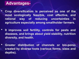 Advantages-
 Crop diversification is perceived as one of the
most ecologically feasible, cost effective, and
rational way of reducing uncertainties in
agriculture especially among smallholder farmers.
 It improves soil fertility, controls for pests and
diseases, and brings about yield stability, nutrition
diversity, and health.
 Greater distribution of channels or bio-pores
created by diverse roots (various forms, sizes and
depths).
 
