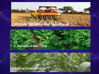 2. Permanent Soil Cover
3. Crop Diversification
1. Minimum Mechanical Soil Disturbances
 