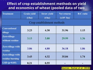 Effect of crop establishment methods on yield
and economics of wheat (pooled data of two
years)
Treatment Grain yield
(t/ha)
Straw yield
(t/ha)
Net returns
(x103
/ha)
B:C ratio
Crop establishment methods
Conventional
tillage
3.23 4.30 31.96 1.15
Zero-tillage
without residue
3.13 3.80 29.99 1.36
Zero-tillage with
residue
3.86 4.80 36.18 1.86
Zero-tillage with
residue burning
3.43 4.32 35.84 1.74
LSD (p=0.05) 0.21 0.55 - -
Sources : Kumar et al. (2018)
 