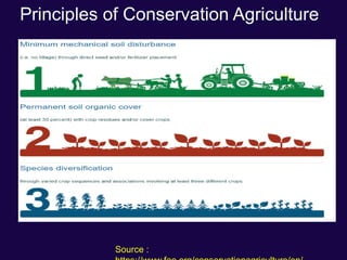 Principles of Conservation Agriculture
Source :
 