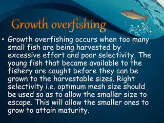 Overfishing and Eumatric fishing | PPT