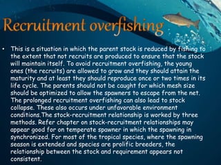 Overfishing and Eumatric fishing | PPT
