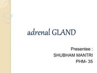 adrenal GLAND
Presentee :
SHUBHAM MANTRI
PHM- 35
 