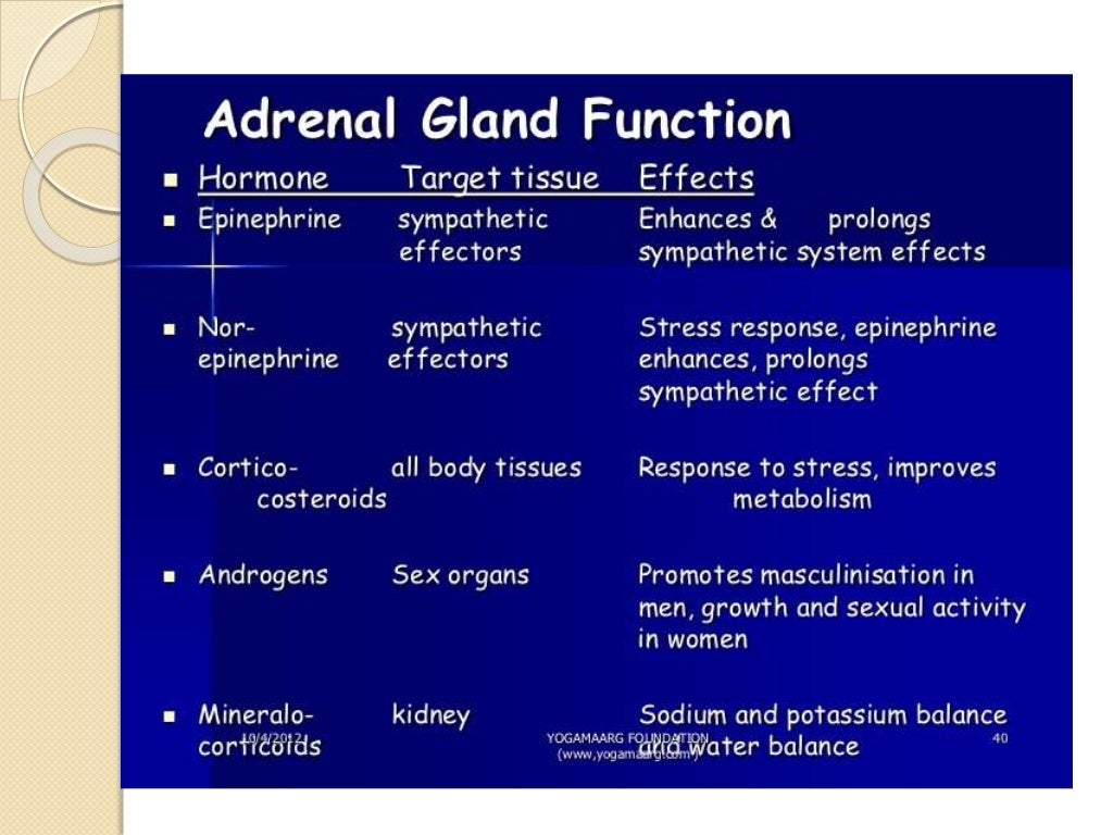 Adrenal Gland