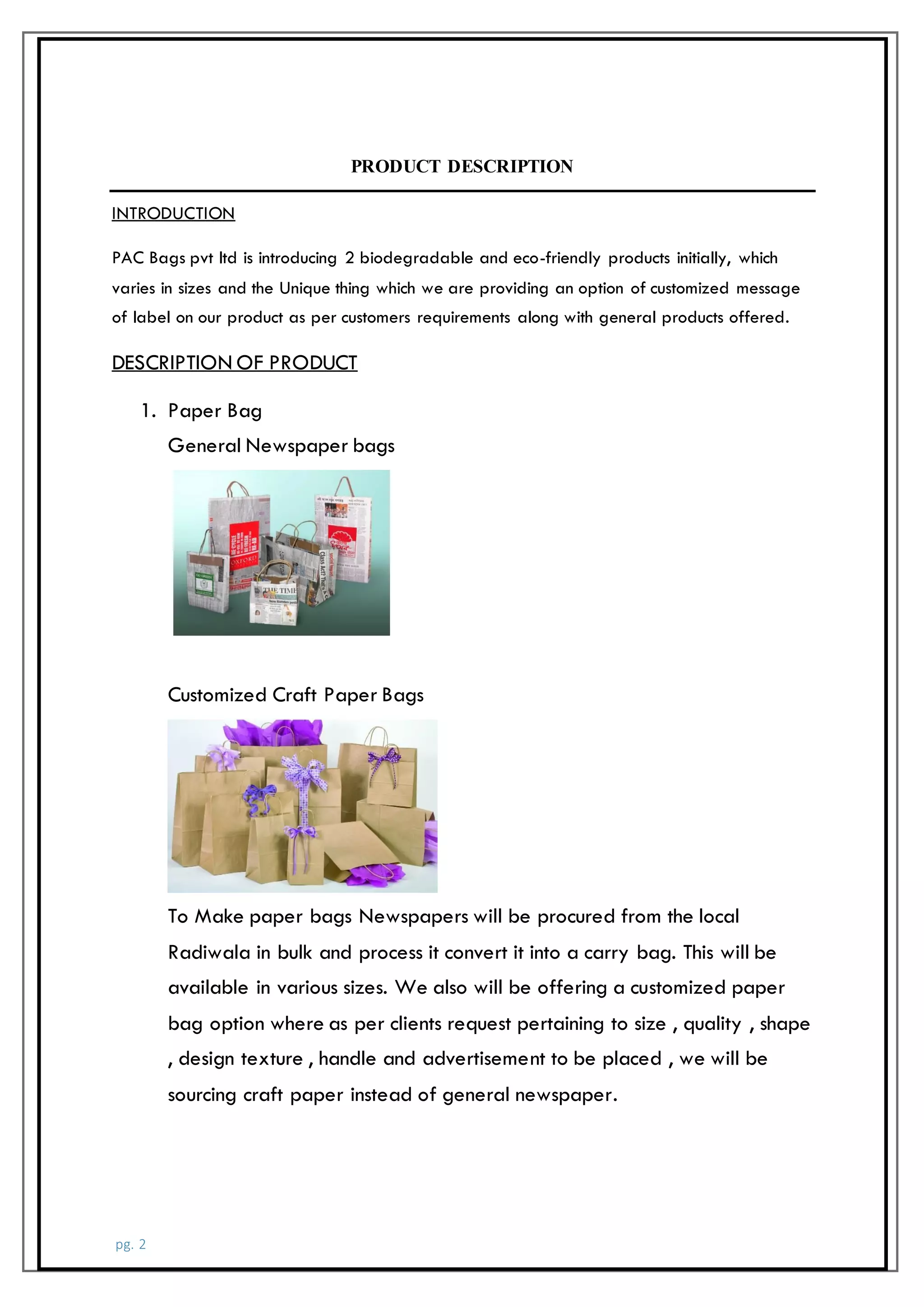 business plan - paper and cloth bags manufacturing (PAC BAGS) | PDF