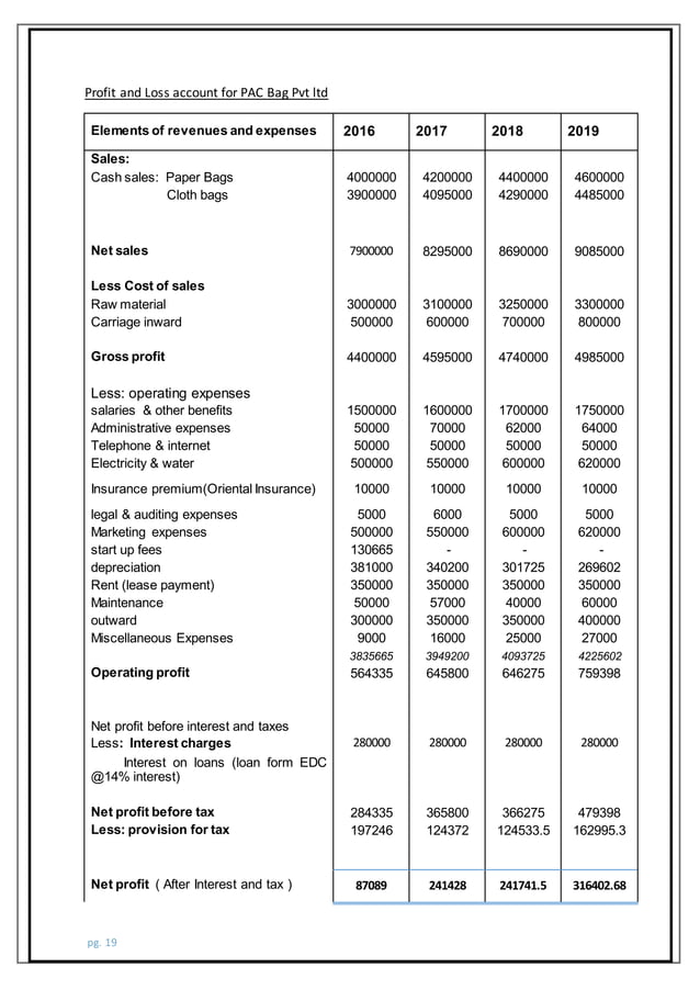 business plan paper and cloth bags manufacturing (PAC BAGS) PDF