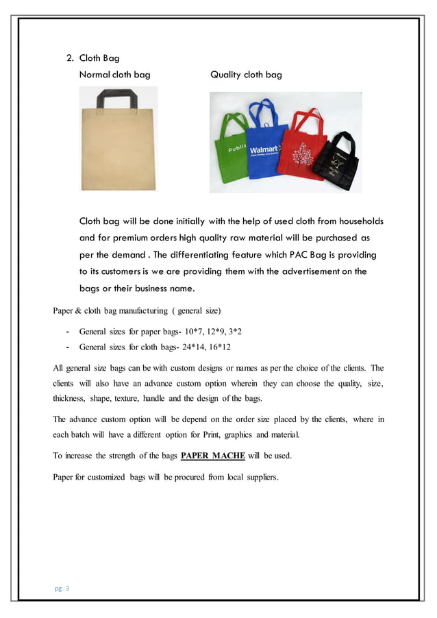 business plan paper and cloth bags manufacturing (PAC BAGS) PDF