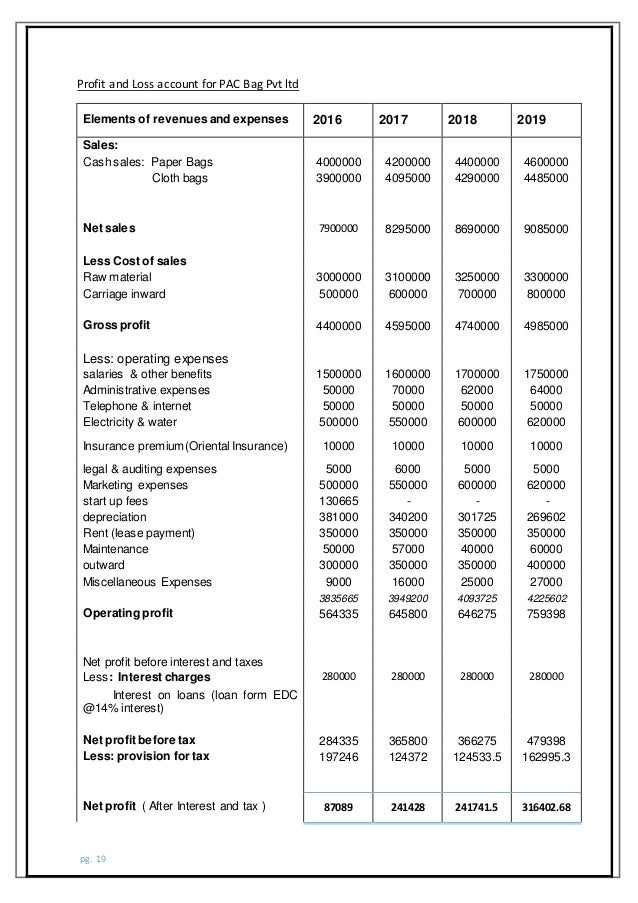 business plan paper and cloth bags manufacturing pac bags profit and loss business plan