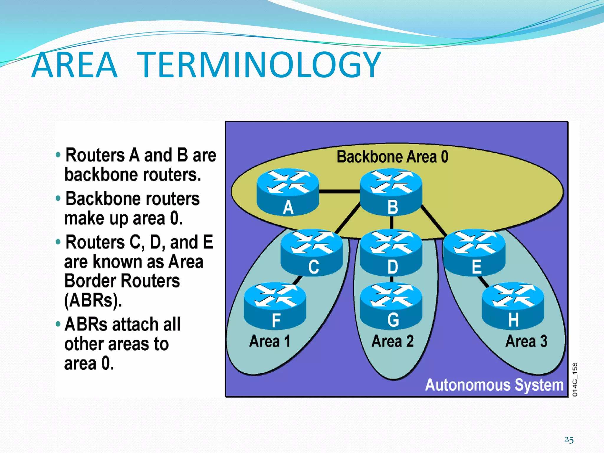 AREA TERMINOLOGY

25

 