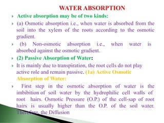 Plant physiology and metabolism ppt.pptx