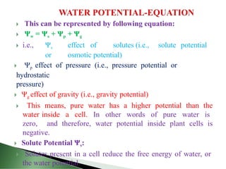 Plant physiology and metabolism ppt.pptx