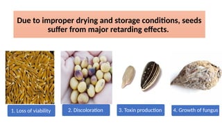 1. Loss of viability 2. Discoloration 3. Toxin production 4. Growth of fungus
Due to improper drying and storage conditions, seeds
suffer from major retarding effects.
 