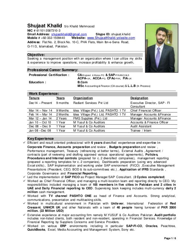 cfo resume