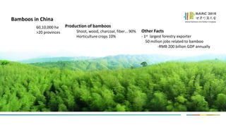 Shu Jinping_Occurrence and Control Strategy of Bamboo Pest in China | PDF