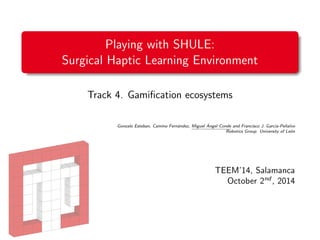 Playing with SHULE: 
Surgical Haptic Learning Environment 
Track 4. Gami 