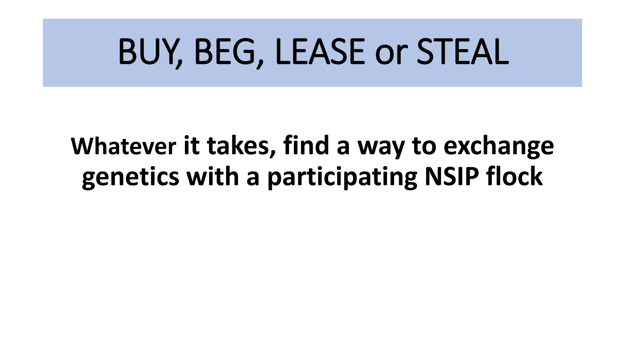 BUY, BEG, LEASE or STEAL
Whatever it takes, find a way to exchange
genetics with a participating NSIP flock
 