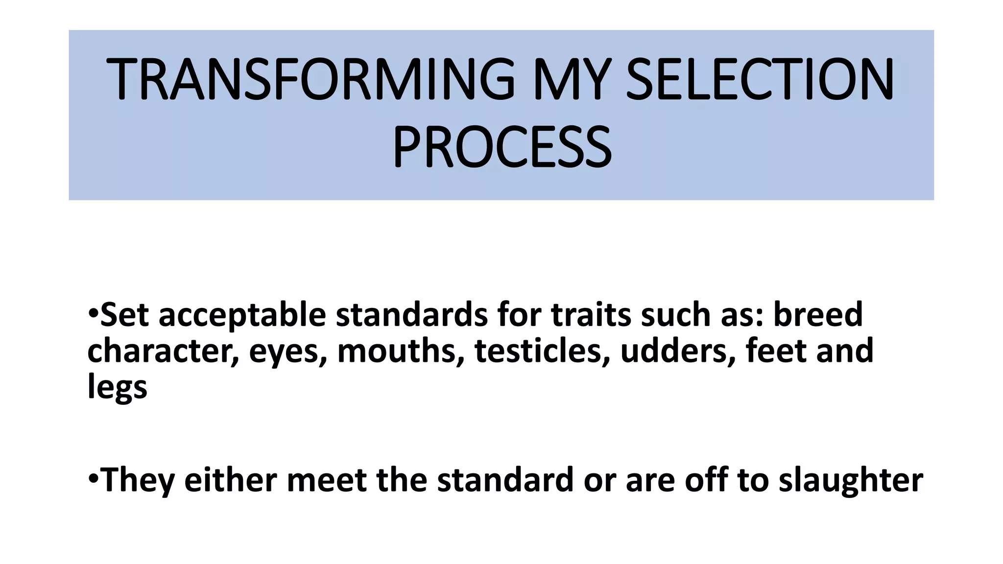 •Set acceptable standards for traits such as: breed
character, eyes, mouths, testicles, udders, feet and
legs
•They either meet the standard or are off to slaughter
TRANSFORMING MY SELECTION
PROCESS
 
