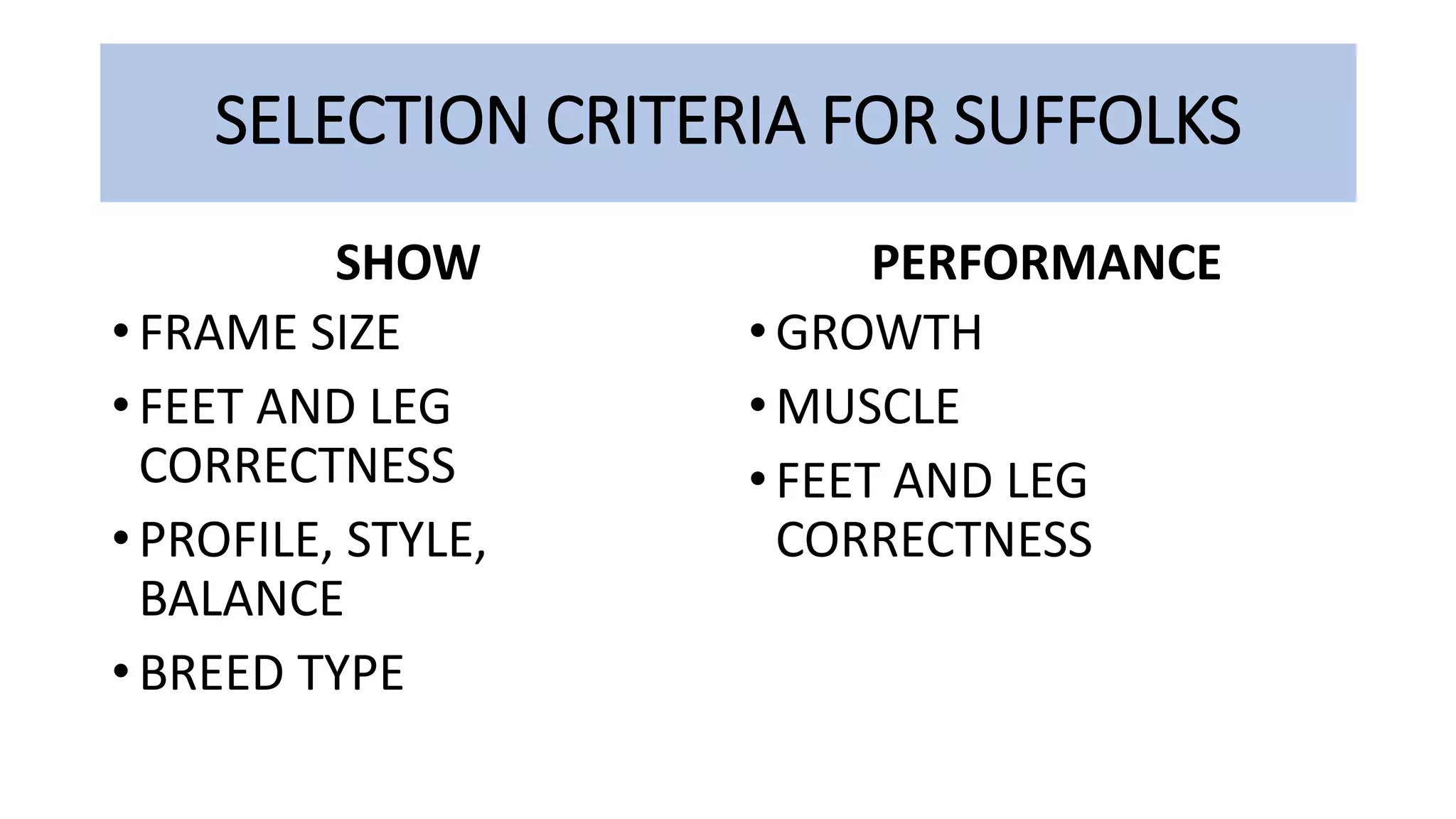 SELECTION CRITERIA FOR SUFFOLKS
SHOW
•FRAME SIZE
•FEET AND LEG
CORRECTNESS
•PROFILE, STYLE,
BALANCE
•BREED TYPE
PERFORMANCE
•GROWTH
•MUSCLE
•FEET AND LEG
CORRECTNESS
 