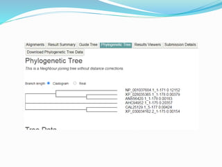 Multiple Alignment Sequence using Clustal Omega/ Shumaila Riaz | PPTX