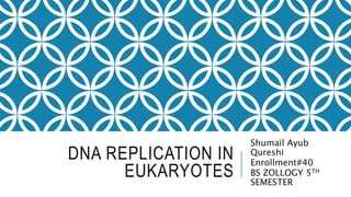 DNA REPLICATION IN
EUKARYOTES
Shumail Ayub
Qureshi
Enrollment#40
BS ZOLLOGY 5TH
SEMESTER
 
