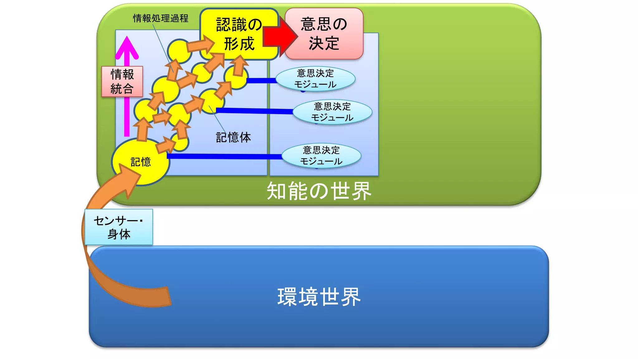 知能の世界
環境世界
認識の
形成
記憶
意思の
決定
センサー・
身体
意思決定
モジュール
意思決定
モジュール
意思決定
モジュール
記憶体
情報処理過程
情報
統合
 