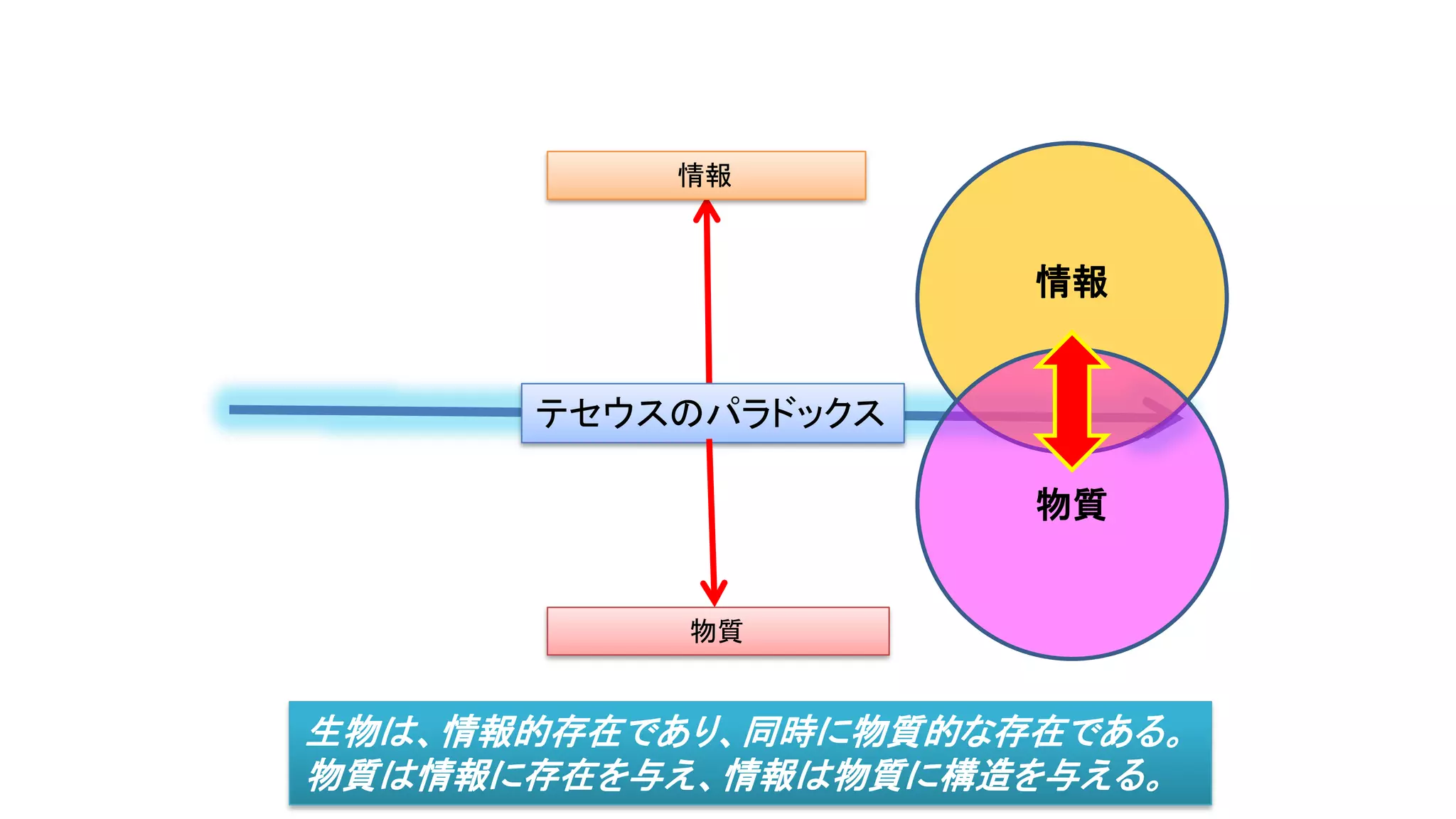 テセウスのパラドックス
物質
情報
情報
物質
生物は、情報的存在であり、同時に物質的な存在である。
物質は情報に存在を与え、情報は物質に構造を与える。
 