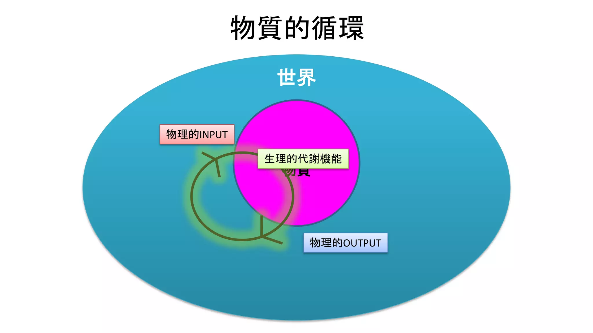 世界
物質的循環
物質
物理的INPUT
物理的OUTPUT
生理的代謝機能
 