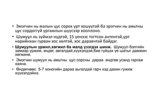 Шумуул | PPT