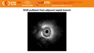 Sunsuke Matsuno: Intracoronary imaging guidance in CTO practice | PDF ...