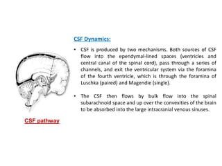 Shunt for hydrocephalus | PPTX
