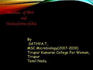Structure of DNA
and
Various forms of dna
By
SATHYA.T,
MSC Microbiology(2017-2019)
Tirupur Kumaran College For Women,
Tirupur
Tamil Nadu.
 