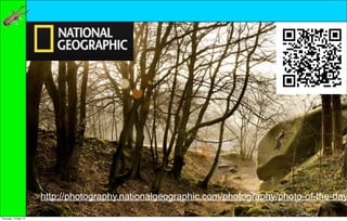 http://photography.nationalgeographic.com/photography/photo-of-the-day

Thursday, 10 May 12
 