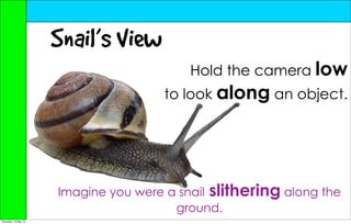 Snail’s View
                                           Hold the camera low
                                      to look along an object.




                      Imagine you were a snail slithering along the
                                        ground.
Thursday, 10 May 12
 