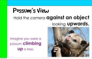 Possum’s View
                       Hold the camera against    an object
                                           looking upwards.


                      Imagine you were a
                      possumclimbing
                          up a tree.
Thursday, 10 May 12
 