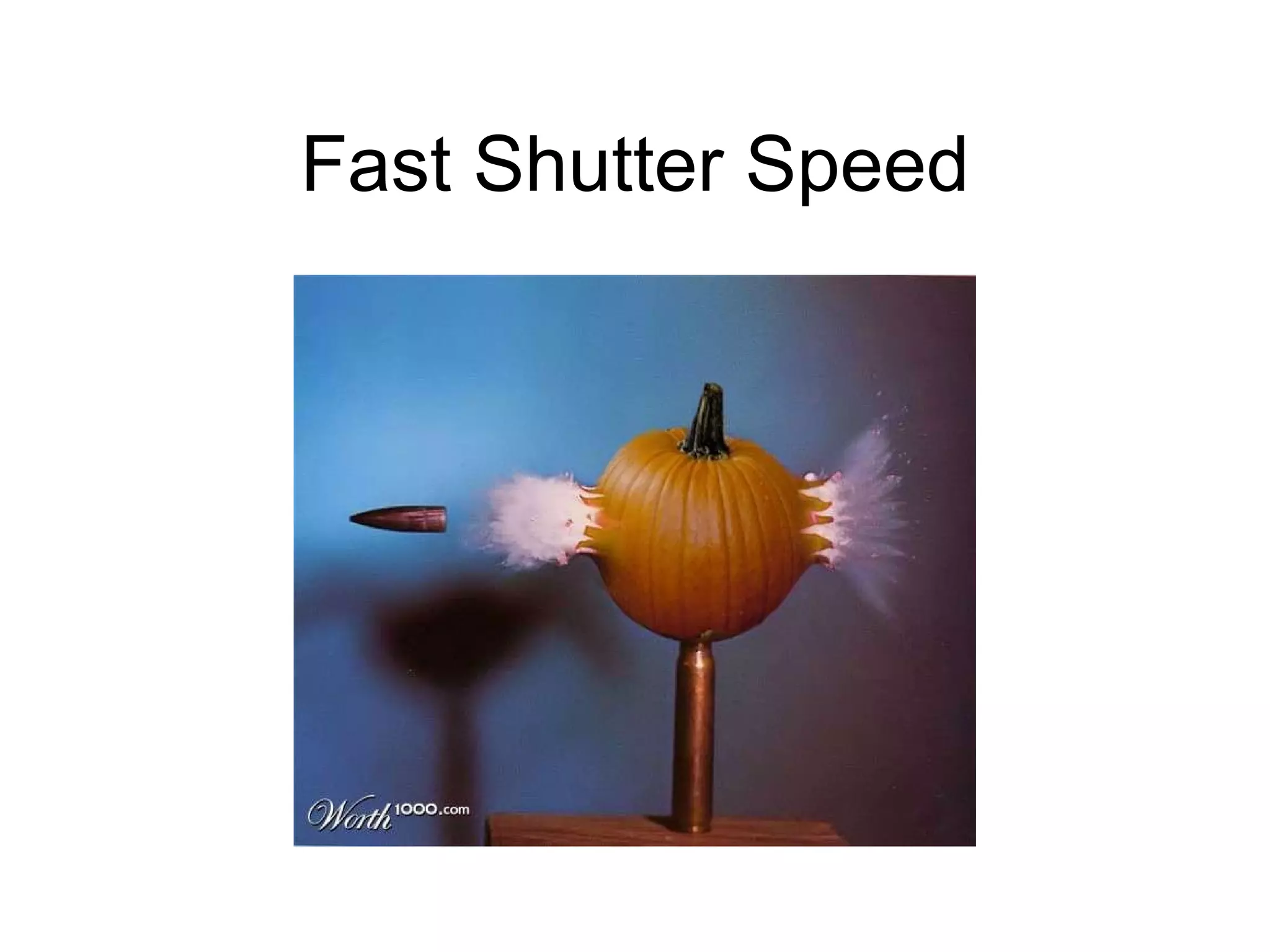 Fast Shutter Speed 